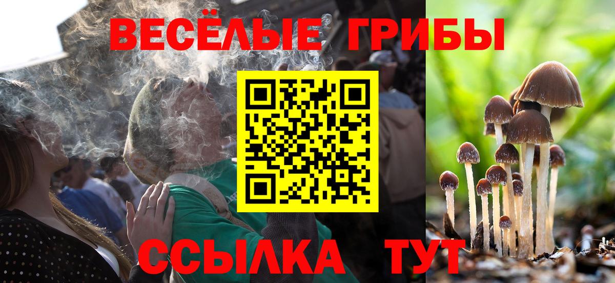 Псилоцибиновые грибы мицелий Мценск